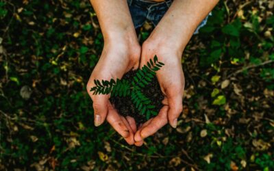 The Financial and Environmental Benefits of ESG Investing | Earth Day 2023